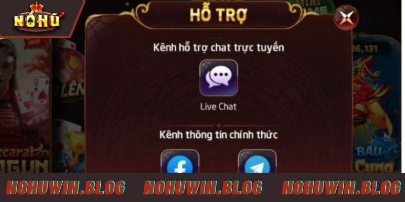 Các kênh liên hệ NOHUWIN phổ biến